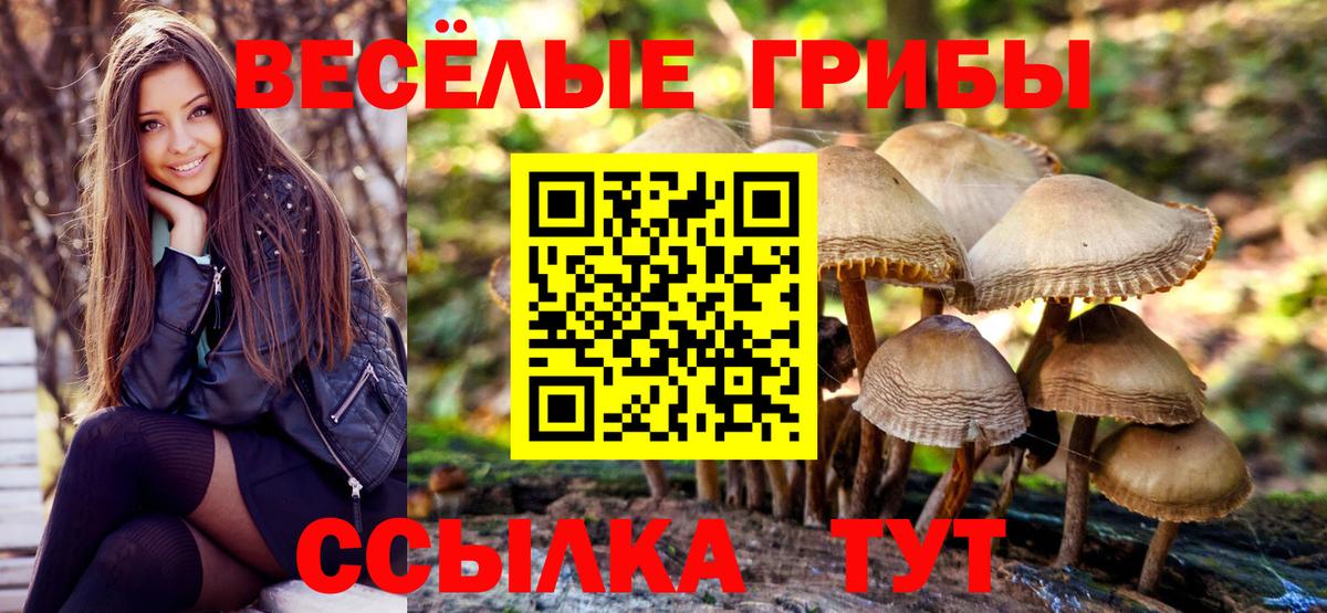 Усть-Джегута  Галлюциногенные грибы Cubensis  Вход с VPN  Псилоцибиновые грибы Psilocybine cubensis 