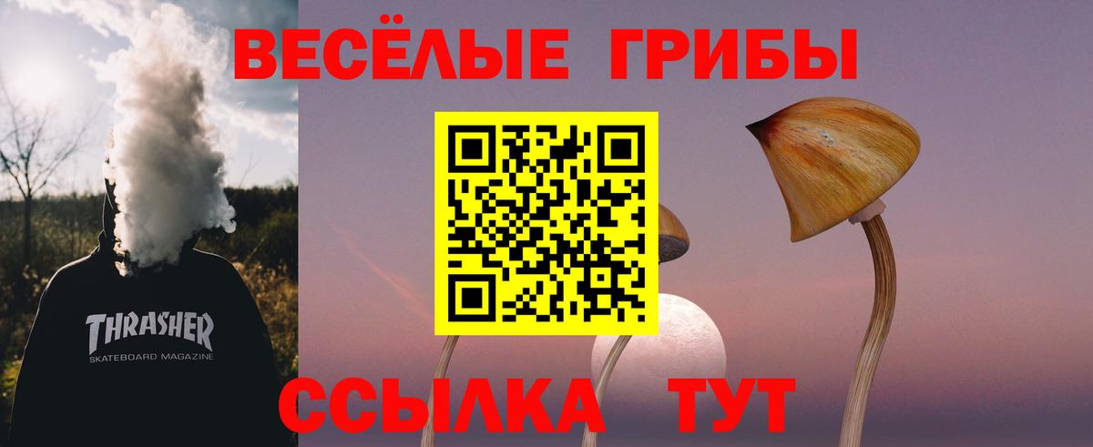 Галлюциногенные грибы Cubensis Усть-Джегута